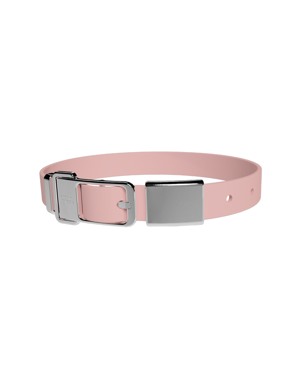 Pet Collar + Name Tag - Large
