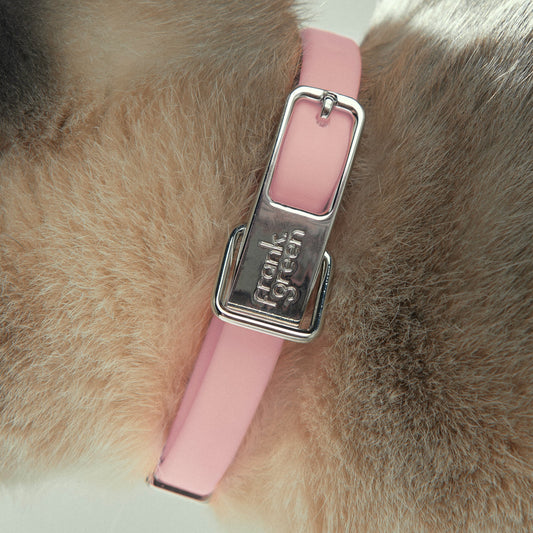 Pet Collar + Name Tag - Small