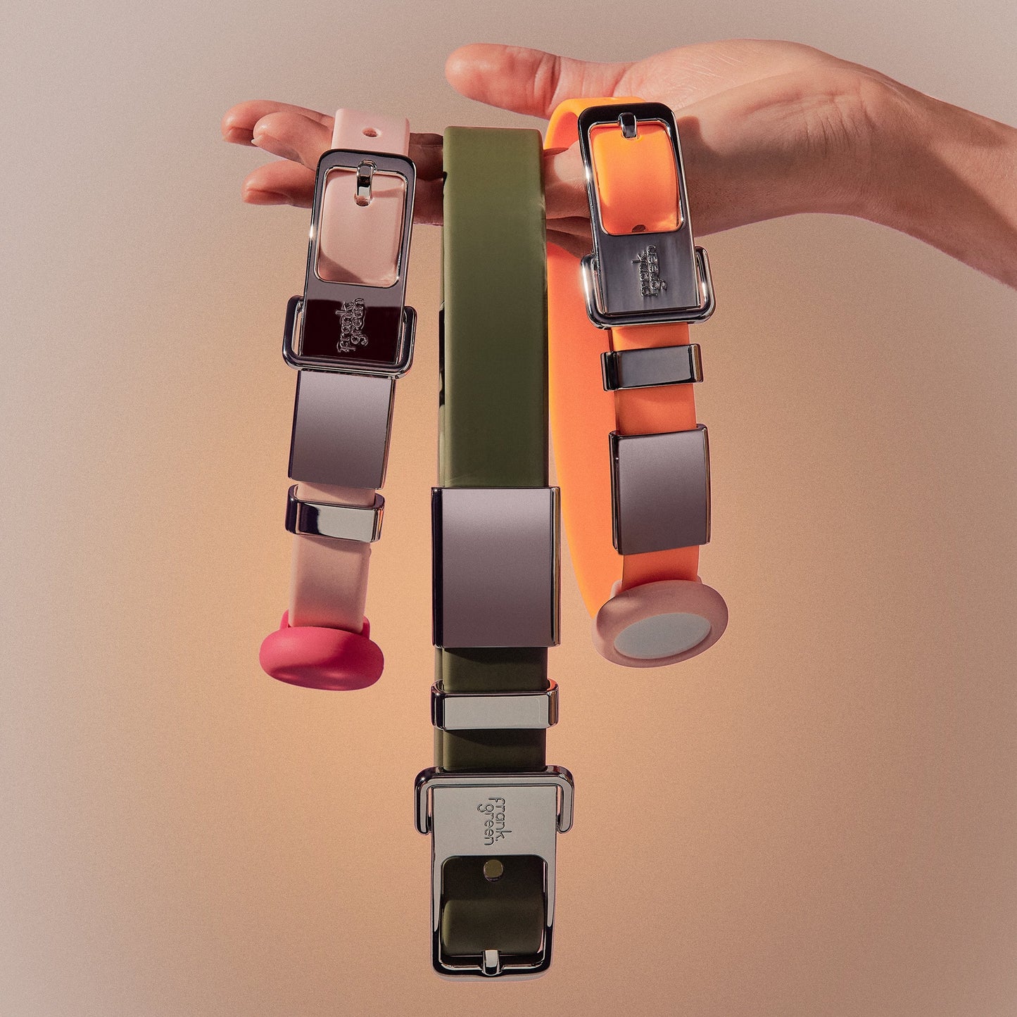 Pet Name Tag - Medium