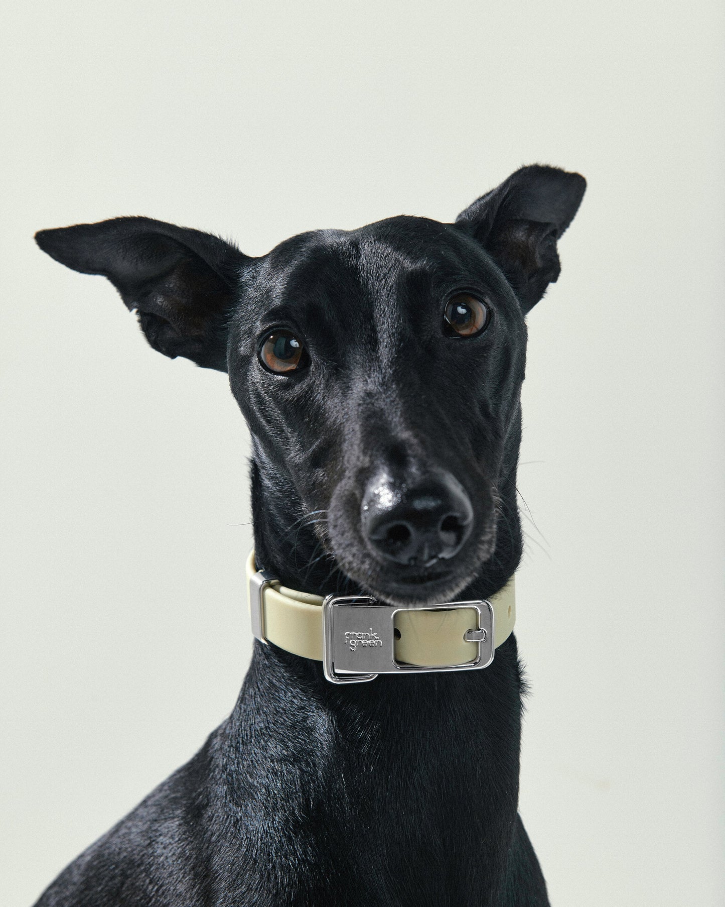 Pet Name Tag - Large