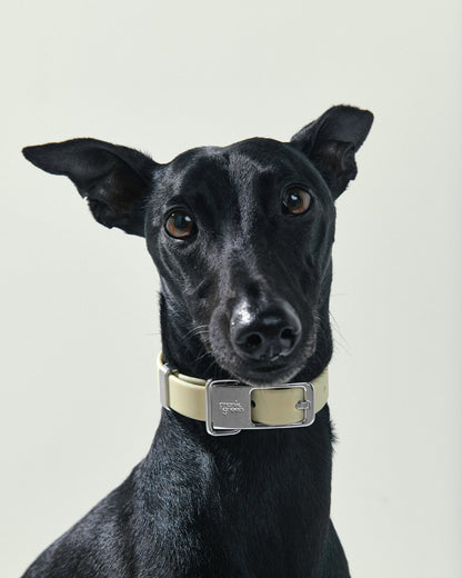Pet Name Tag - Large