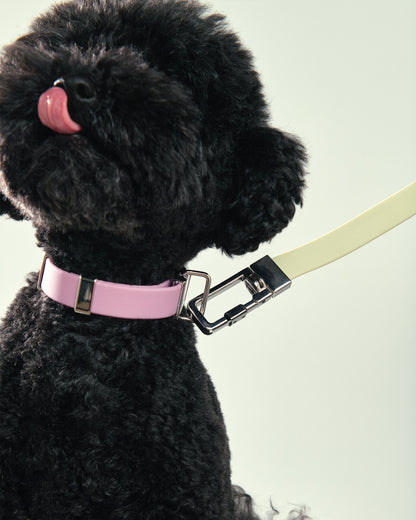 Pet Lead