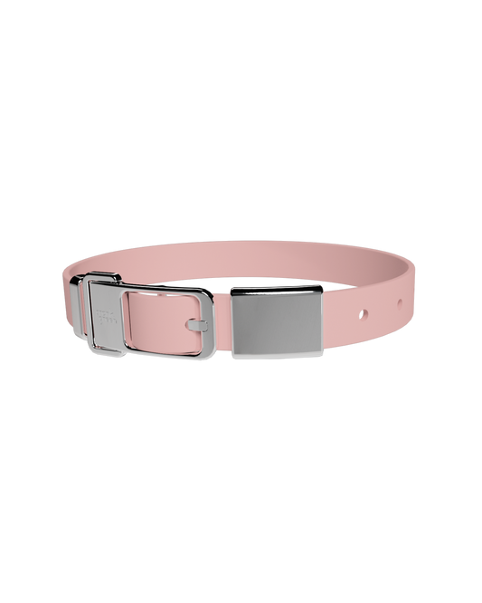 Pet Collar + Name Tag - Large