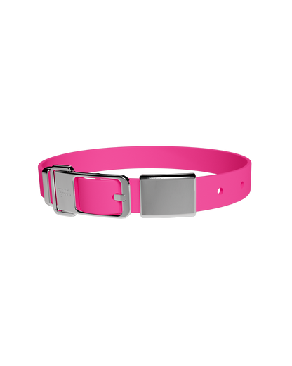 Pet Collar + Name Tag - Large