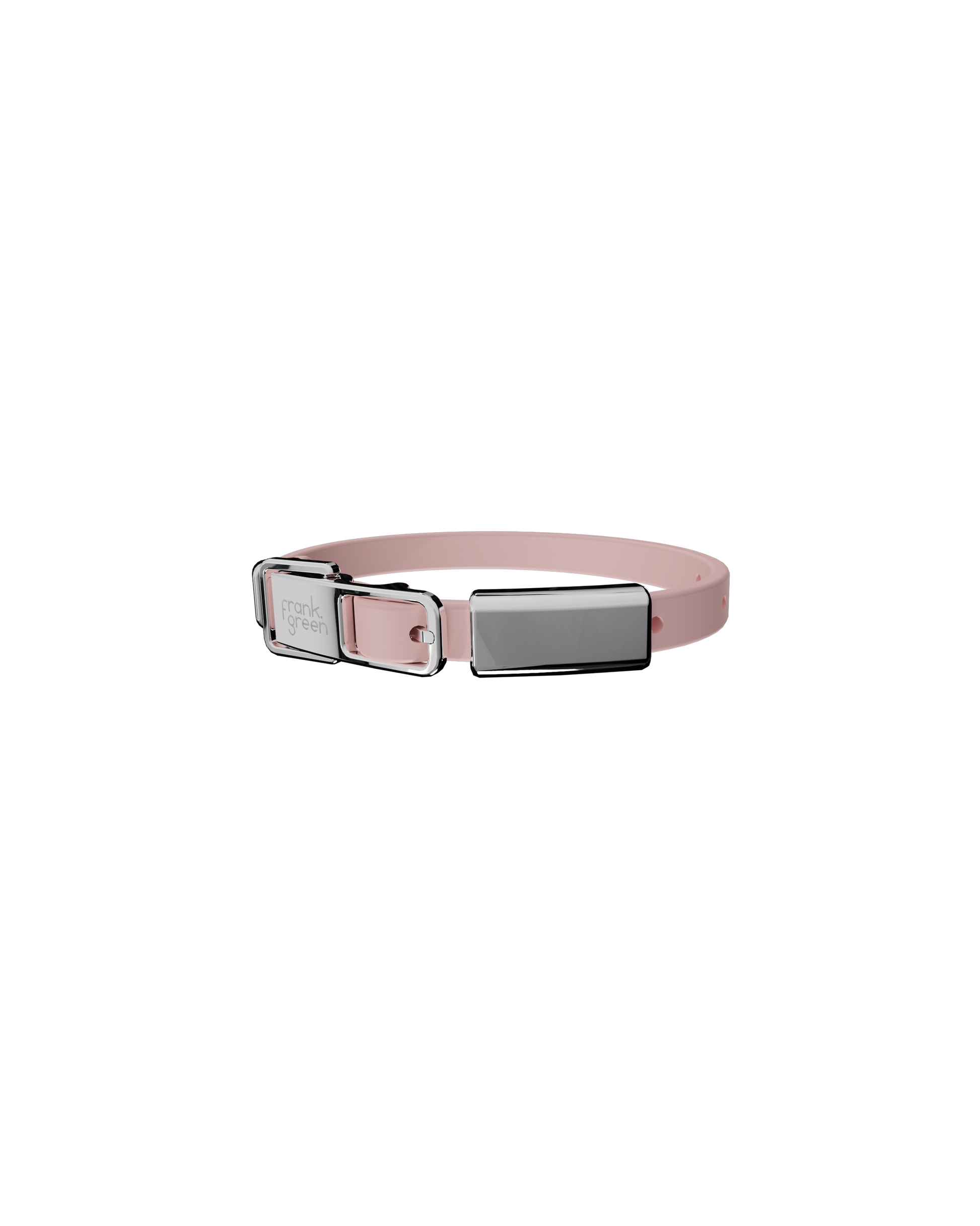 Pet Collar + Name Tag - Small