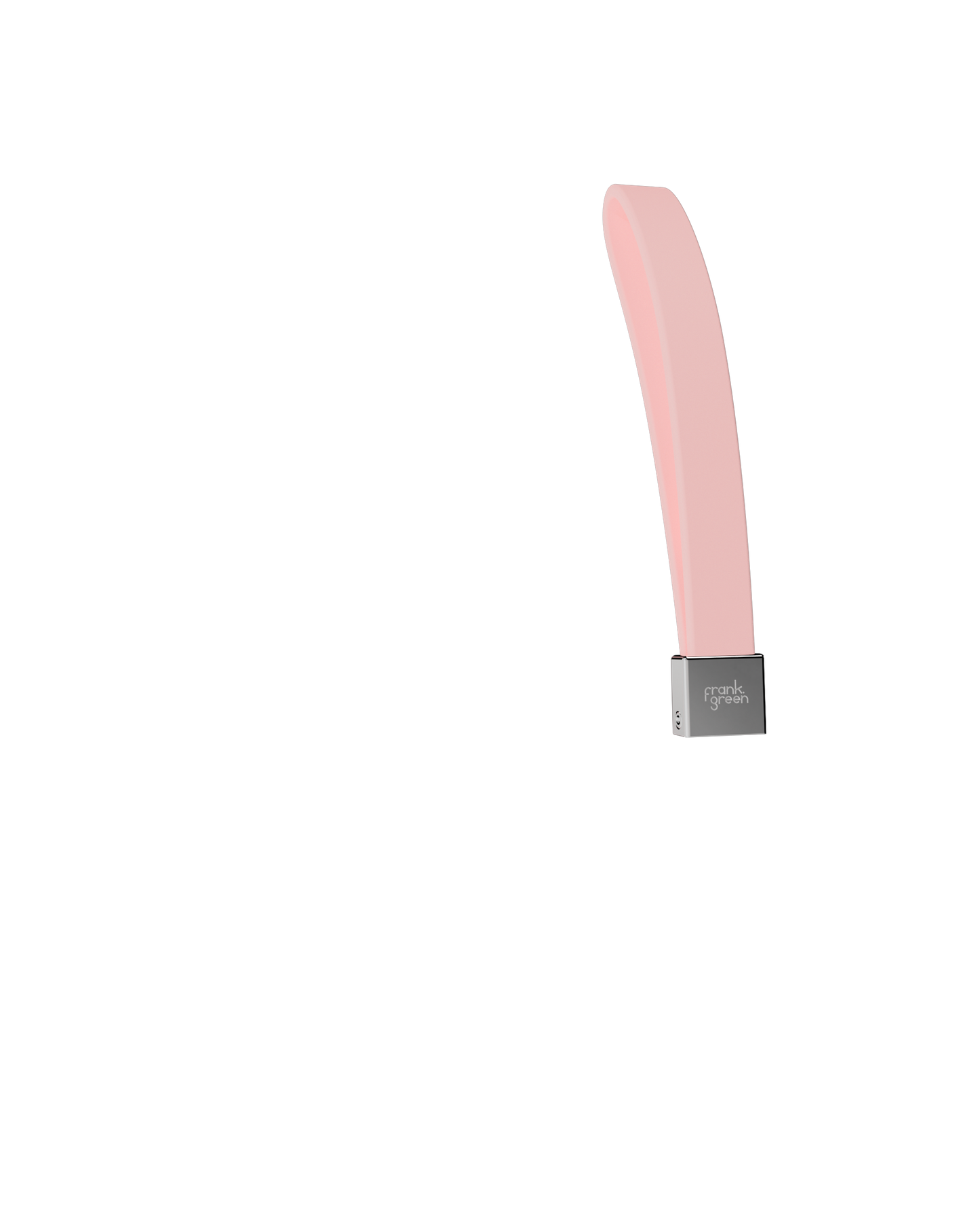 Pet Lead Handle