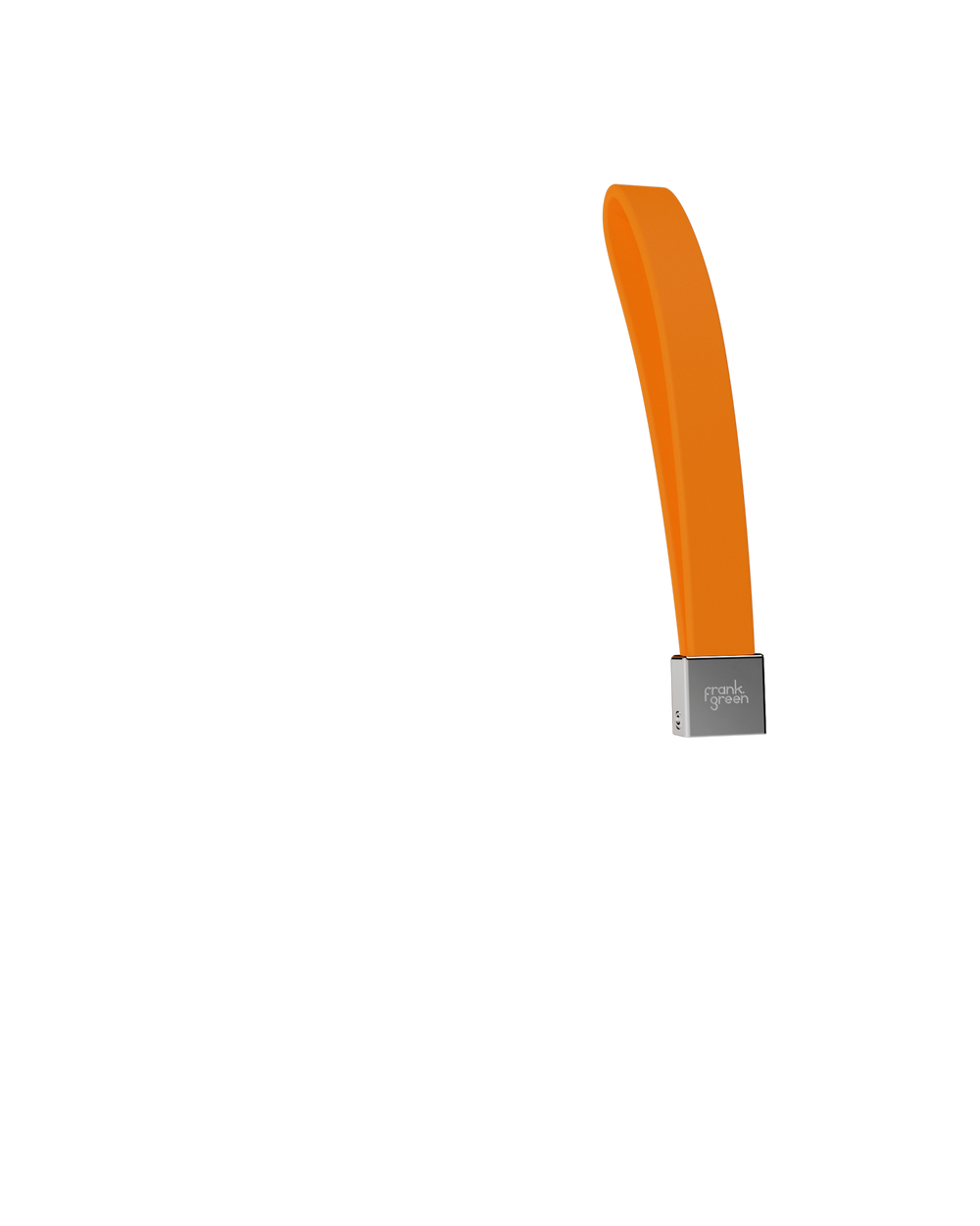 Pet Lead Handle