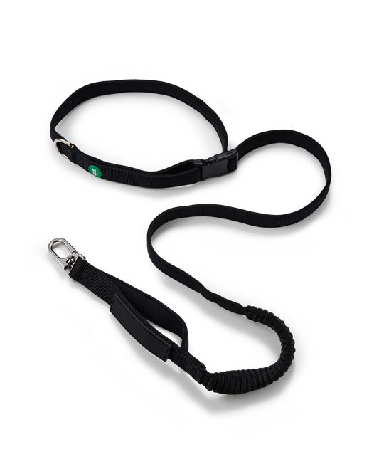 Stride Running Lead