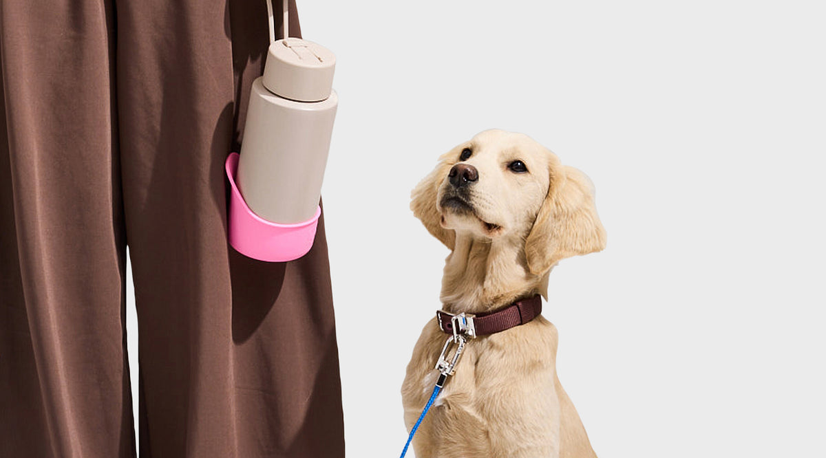 A light cream-colored dog wearing a brown collar looks up at a person's brown pants where a pink silicone holder is attached to carry a white water bottle. The dog is on a blue leash against a clean white background.