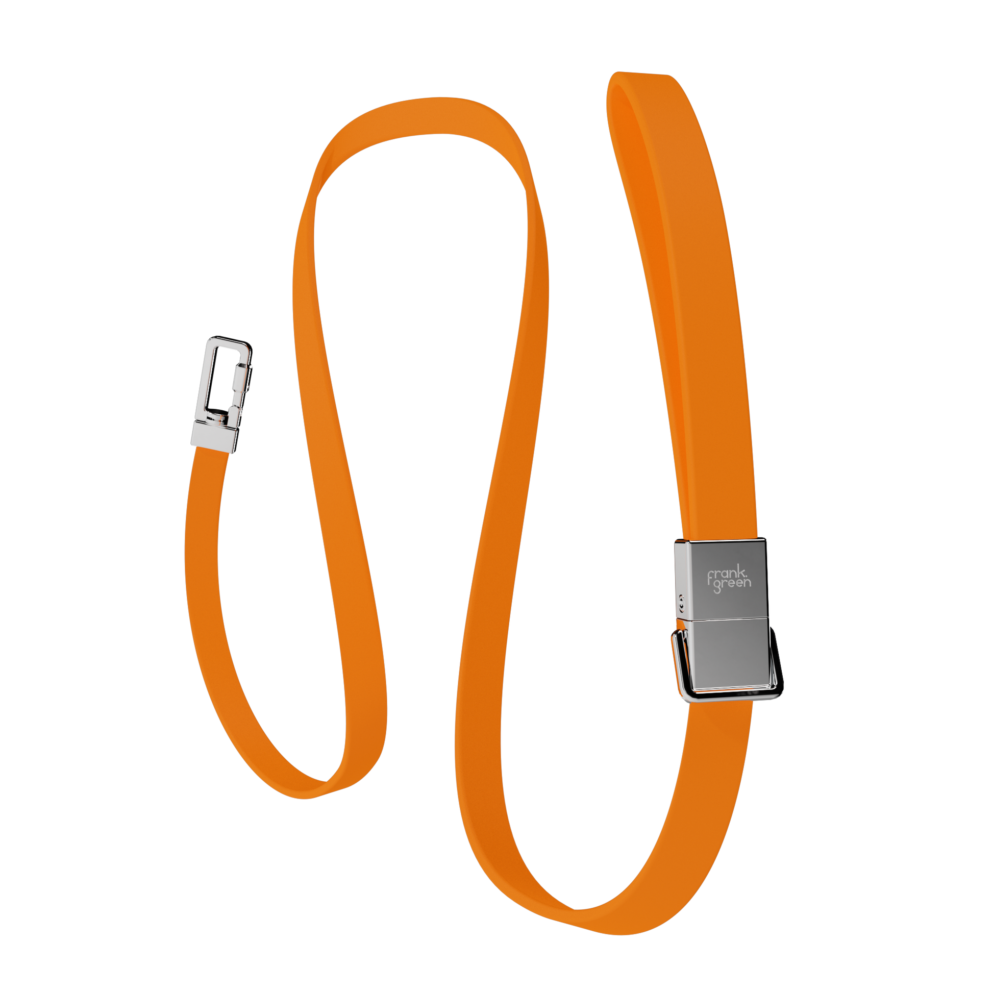 Pet Lead
