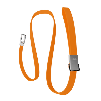 Pet Lead