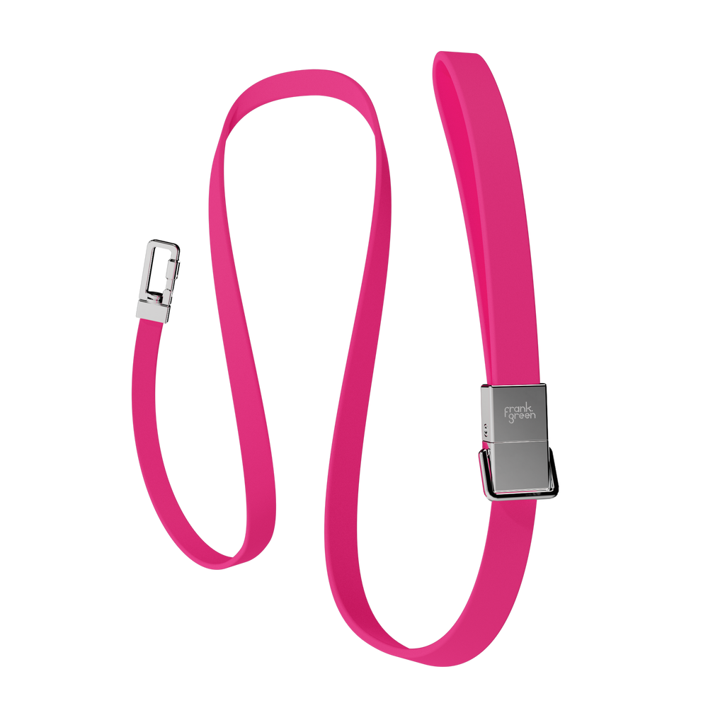Pet Lead