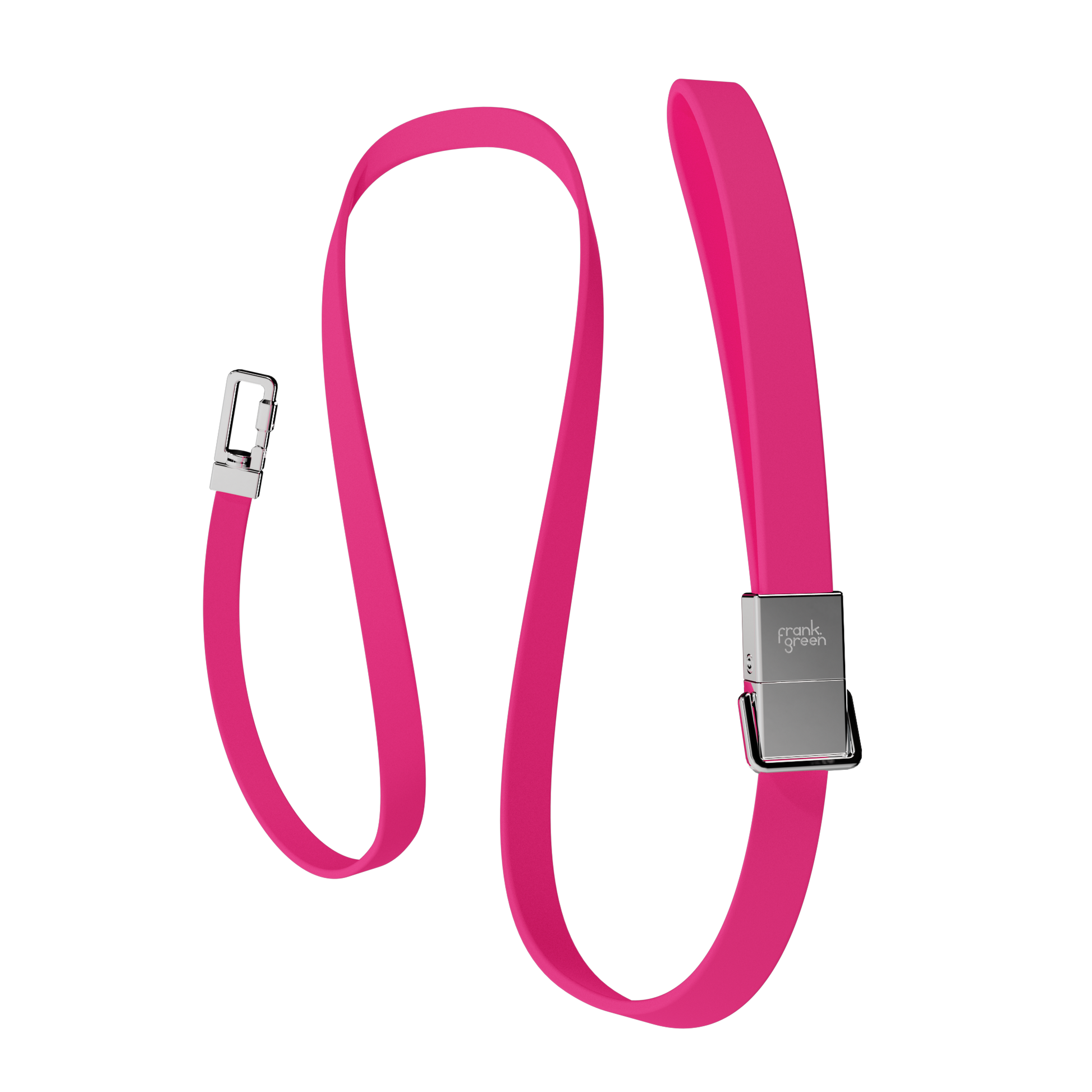 Pet Lead