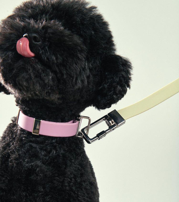 Green dog collar and lead discount