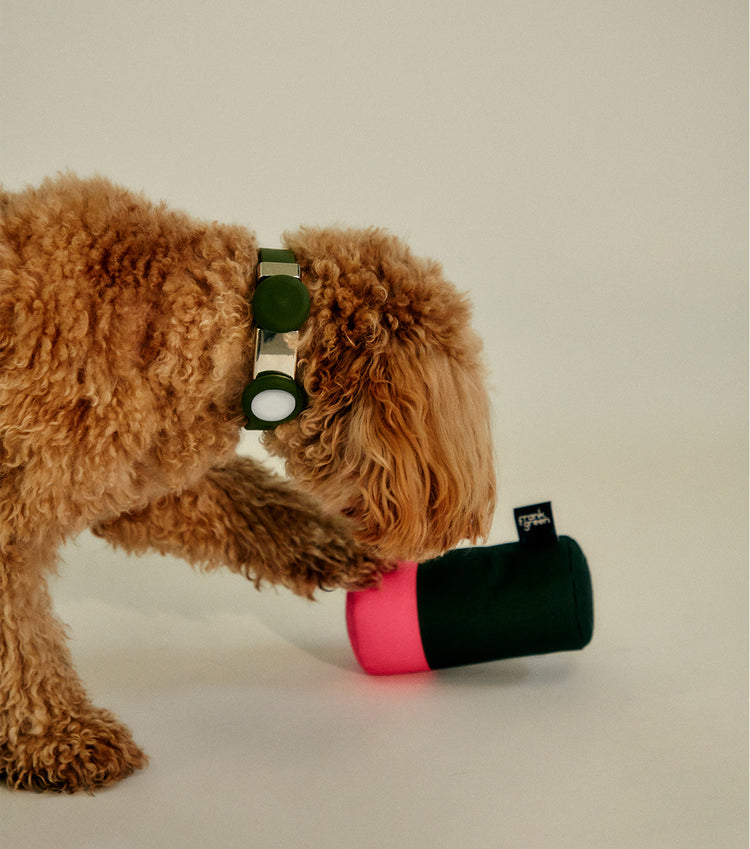 Squeaker 2024 dog collar