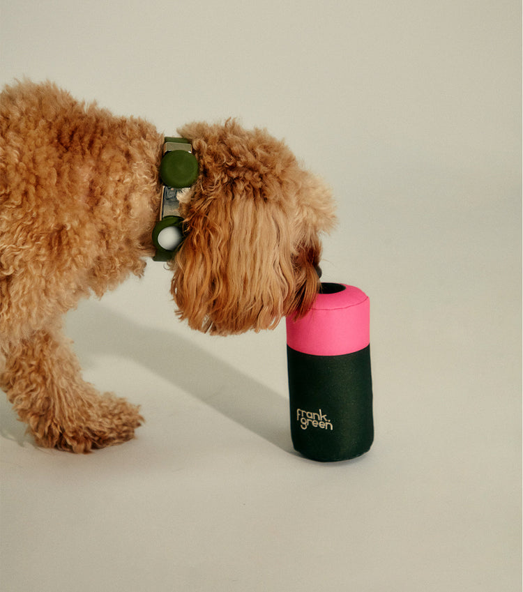 Squeaker dog collar sale